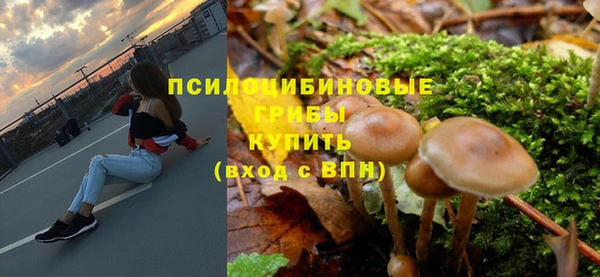 mdpv Нея